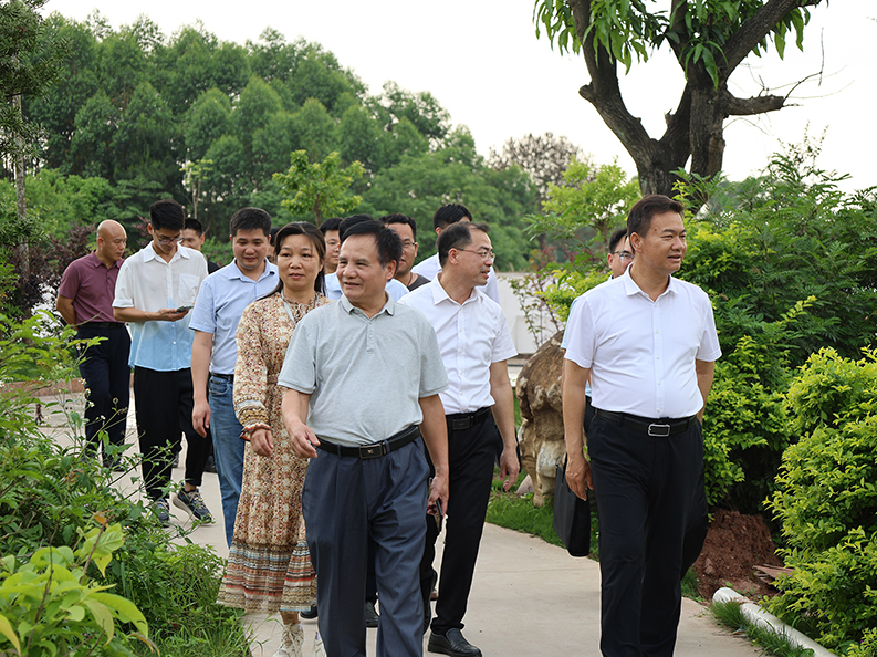  桂平市市长黄德佳等领导到我校指导工作丨 开云(中国)